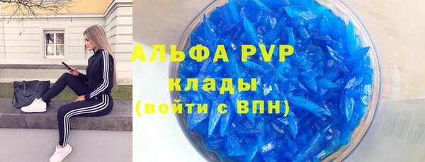 стаф Арсеньев