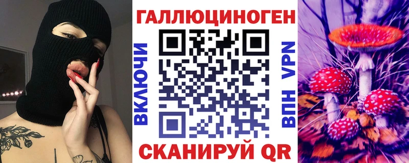 Галлюциногенные грибы Psilocybe  Купить  Строитель 